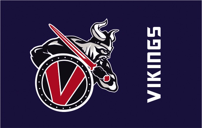 VIKINGS